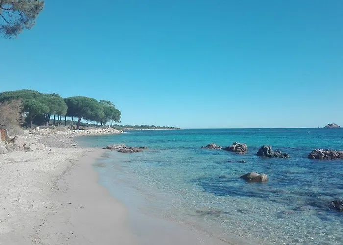 Vardiola/porto Vecchio Daire *